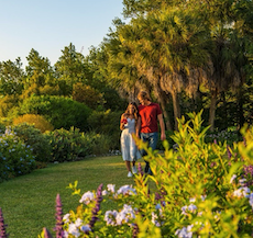 couple walking through selby gardens